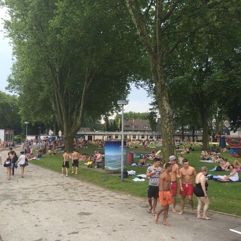 Menschen entspannen auf einer Wiese in einem Freizeitpark, umgeben von B&auml;umen und einem schattigen Gehweg.
