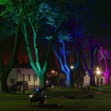 Bunt beleuchtete B&auml;ume in einem Park bei Nacht, mit Menschen, die sich auf dem Gras und B&auml;nken aufhalten.