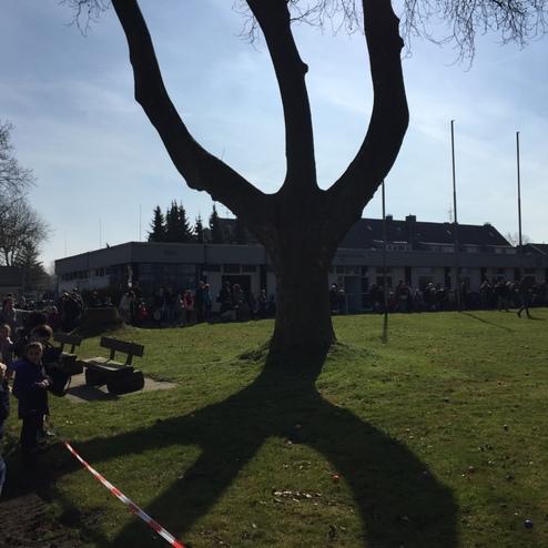 Menschenmenge versammelt sich unter einem gro&szlig;en Baum auf einem Rasen, im Hintergrund ein Geb&auml;ude mit Fenstern.