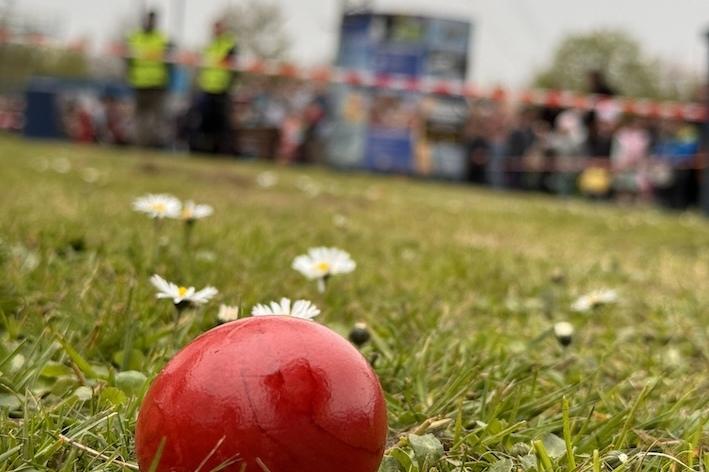 Rote Plastikball liegt auf einer Wiese mit G&auml;nsebl&uuml;mchen im Vordergrund und verschwommenem Hintergrund.
