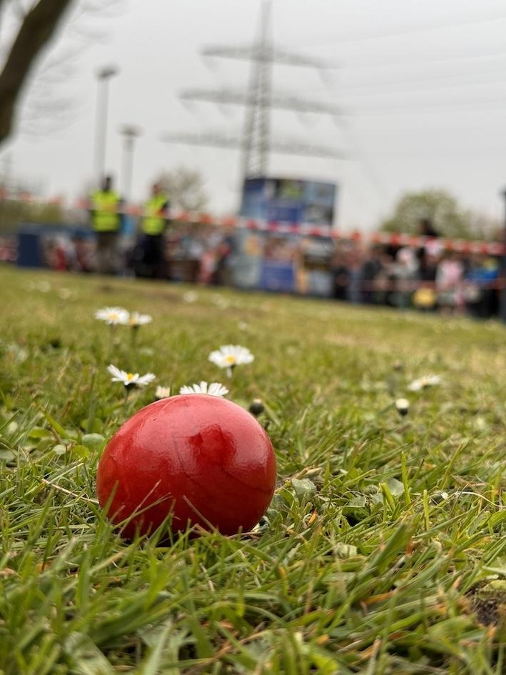 Rote Plastikball liegt auf einer Wiese mit G&auml;nsebl&uuml;mchen im Vordergrund und verschwommenem Hintergrund.