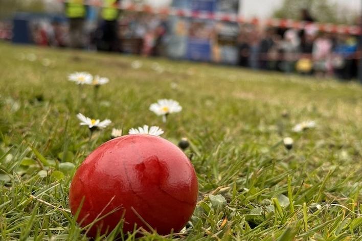 Rote Plastikball liegt auf einer Wiese mit Gänseblümchen im Vordergrund und verschwommenem Hintergrund.