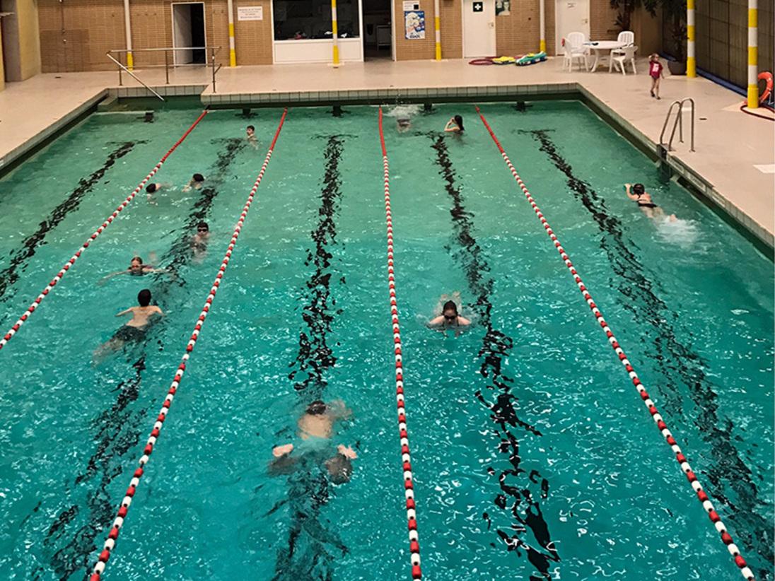 Innenansicht eines Schwimmbades mit mehreren Schwimmern in einem langen Becken, das durch Schwimmbahnen abgegrenzt ist.