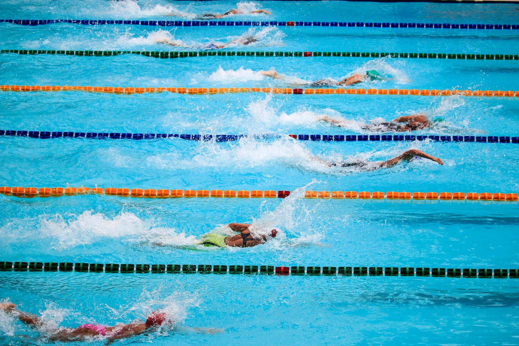 Mehrere Schwimmer in verschiedenen Bahnen schwimmen im Wettkampf in einem blauen Schwimmbecken.